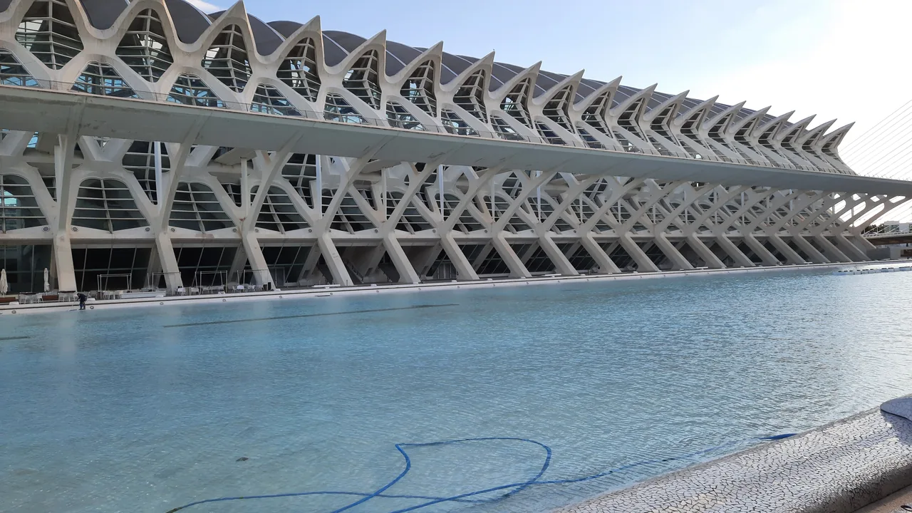 El esqueleto blanco de hormigón del Museu de les Ciències de Calatrava reflejado en la lámina de agua.