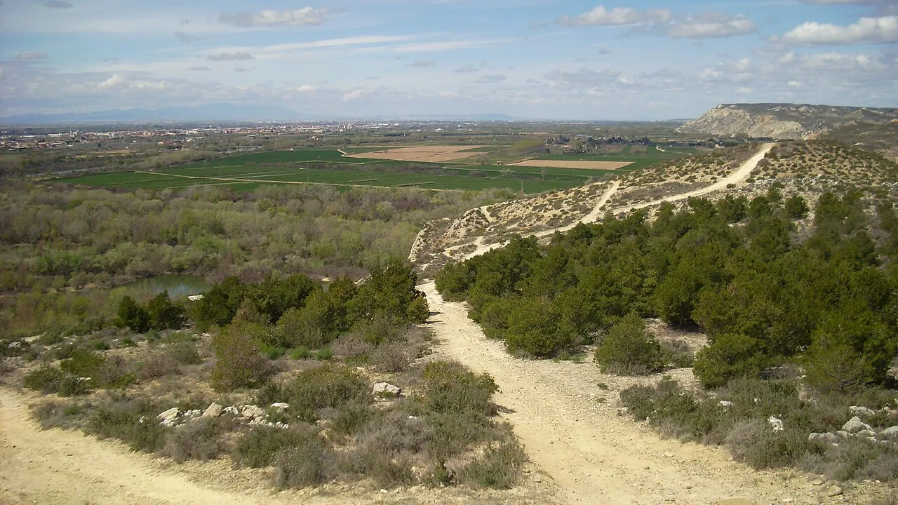 El camino de tierra del Galacho de Juslibol bajando entre matorral, con las lagunas y la huerta del Ebro al fondo.