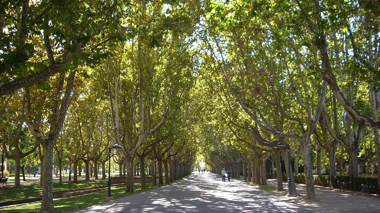 El paseo arbolado del Parque Grande de Zaragoza, con sombra moteada en el suelo y gente paseando al fondo.